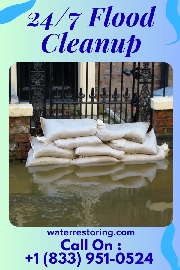 24/7 Flood Cleanup in Peterson, IA