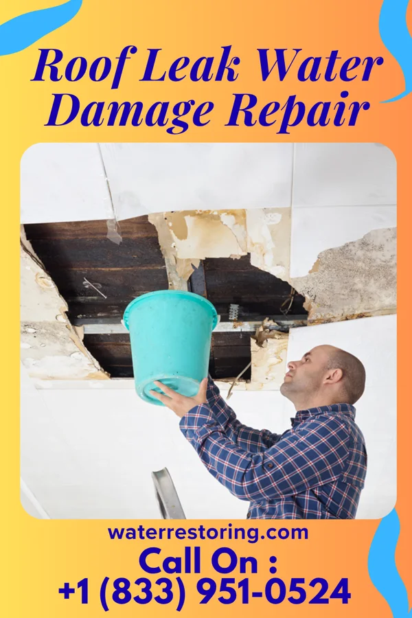 Roof Leak Water Damage Repair in Peterson, IA